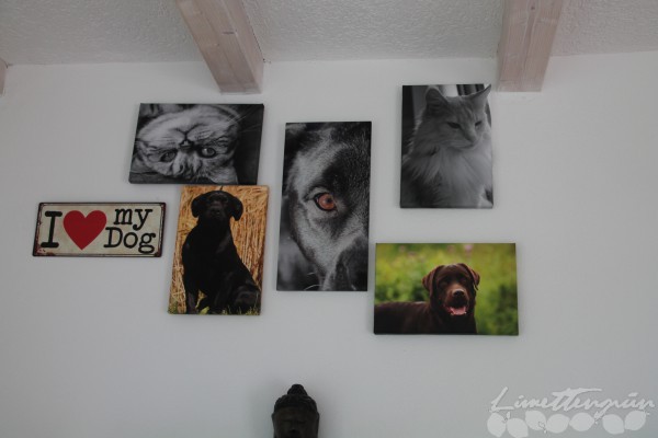 Gallery Wall und Verlosung