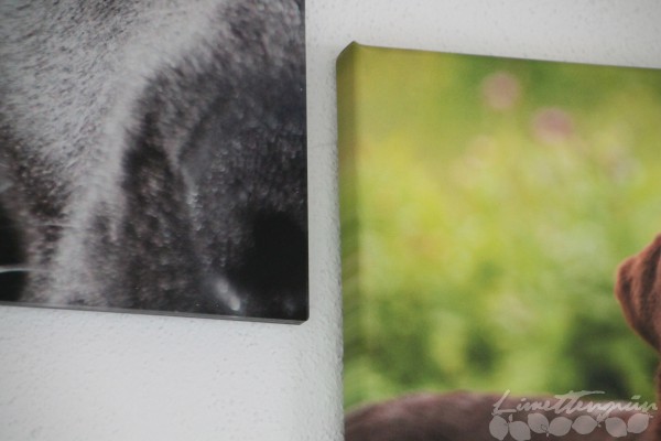 Gallery Wall und Verlosung