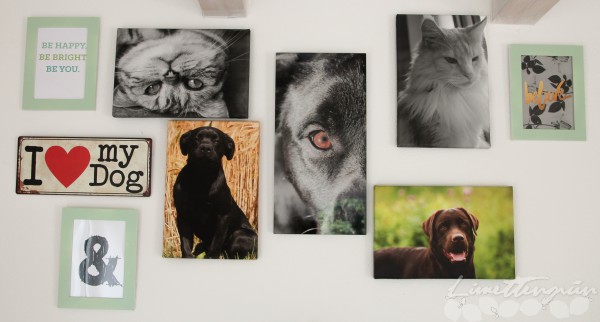 Gallery Wall