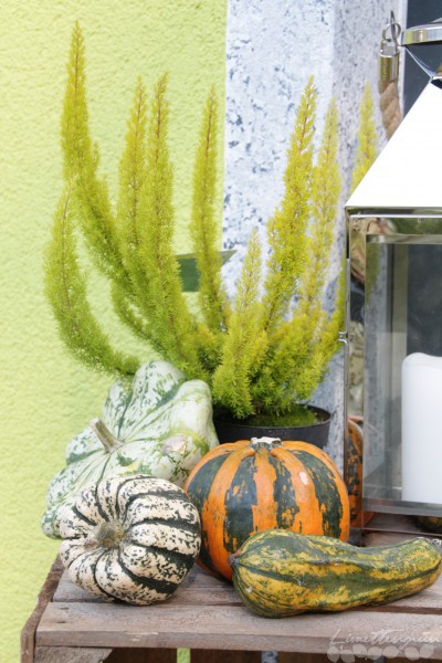 Herbstdeko und Kürbisliebe