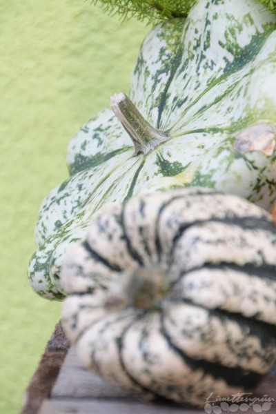 Herbstdeko und Kürbisliebe