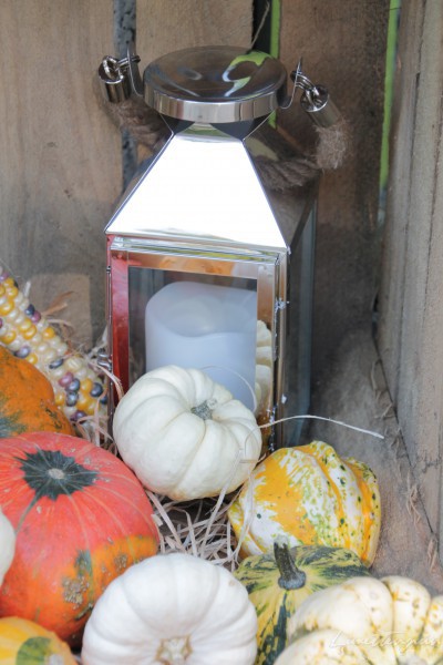 Herbstdeko und Kürbisliebe