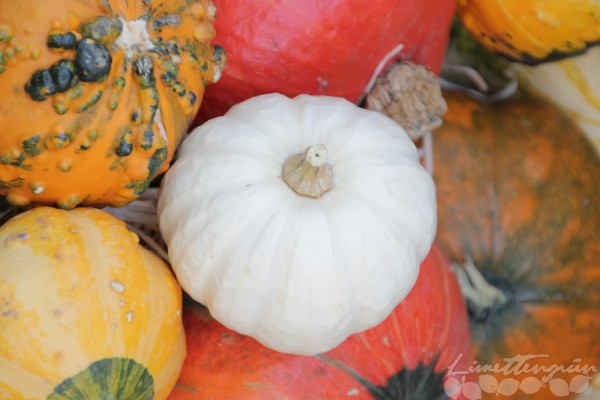 Herbstdeko und Kürbisliebe