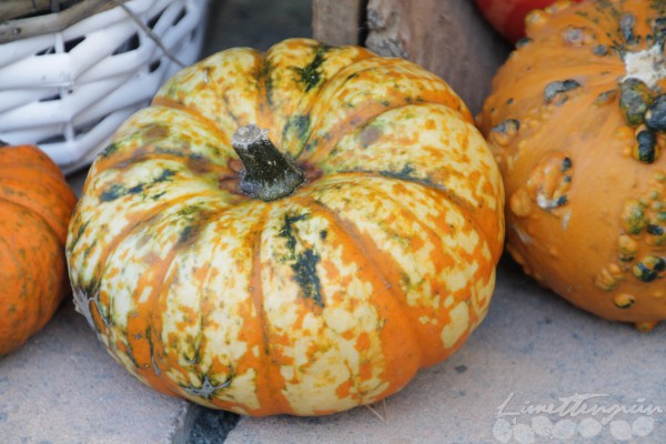 Herbstdeko und Kürbisliebe