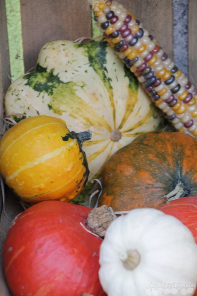 Herbstdeko und Kürbisliebe