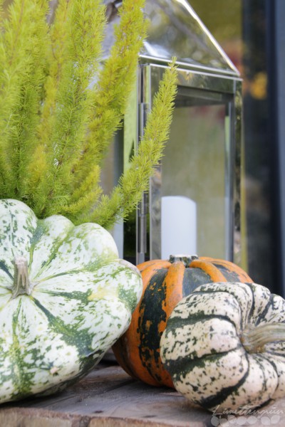 Herbstdeko und Kürbisliebe