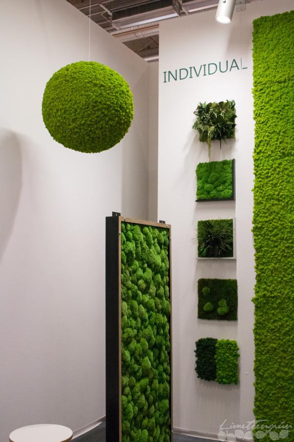 Ambiente 2016-3-147
