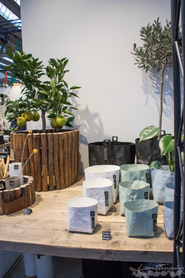 Ambiente 2016-3-38